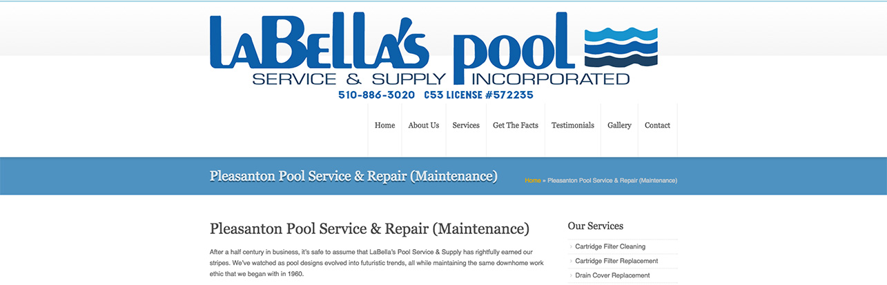 Pleasanton_Pool_Service_&_Repair_Maintenance